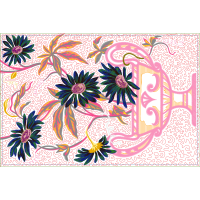 Passion Flowers Other Passion Flowers Other