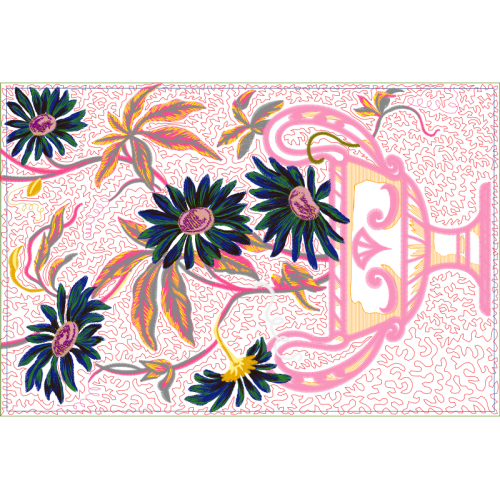 Passion Flowers Other Passion Flowers Other