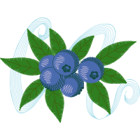 Passion Flowers Other