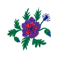 Passion Flowers Other Passion Flowers Other