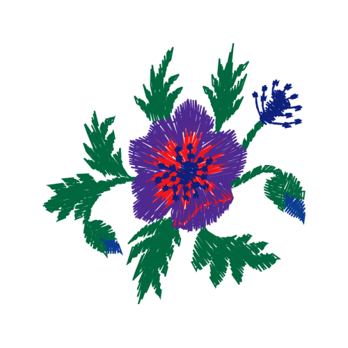 Passion Flowers Other Passion Flowers Other