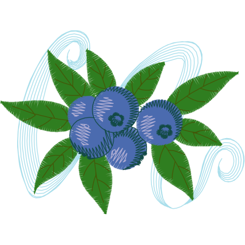 Passion Flowers Other Passion Flowers Other