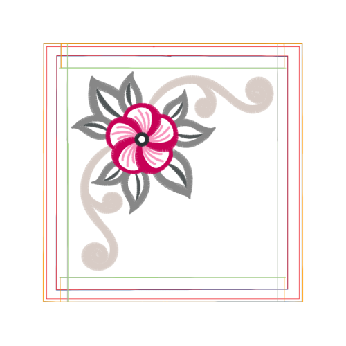 Passion Flowers Other Passion Flowers Other