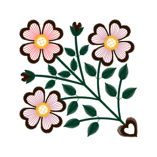 Password Other Password Other