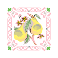 Pear Other Pear Other