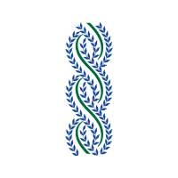 Phi Phi Islands Other