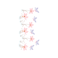 Pieridae Other Pieridae Other