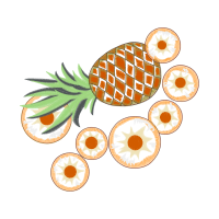 Pineapple Other