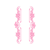 Pink Other Pink Other