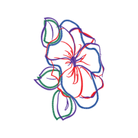 Pink Other Pink Other