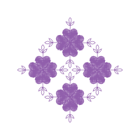 Plymouth Marjon University Other