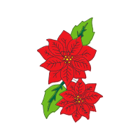 Poinsettia Other