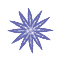 Portable Network Graphics Other