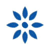 Portable Network Graphics Other Portable Network Graphics Other