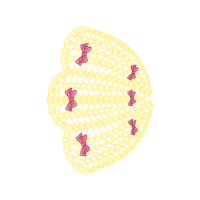 Qspiders Mumbai Thane Other Qspiders Mumbai Thane Other