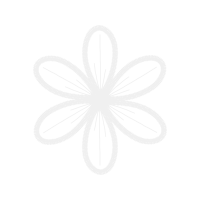 Rangoli Other Rangoli Other