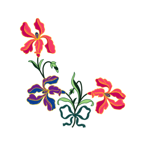 Rosa Glauca Other Rosa Glauca Other