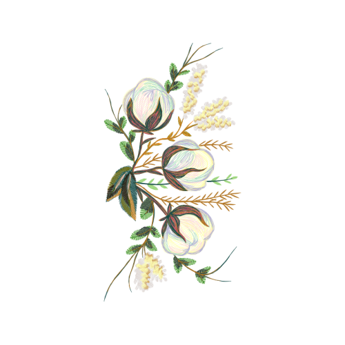 Rosa Glauca Other Rosa Glauca Other