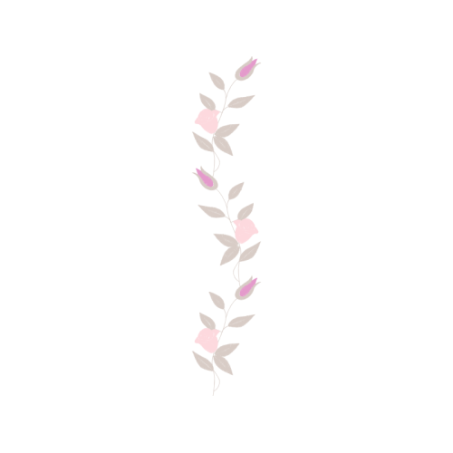 Sasanqua Camellia Other Sasanqua Camellia Other