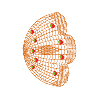 Seedless Fruit Other Seedless Fruit Other