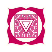 Shandong University Other Shandong University Other