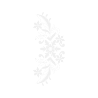 Shutterstock Other Shutterstock Other