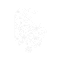 Sketch Other Sketch Other