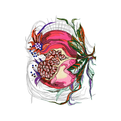 Sketch Other Sketch Other