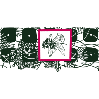 Sketch Other Sketch Other