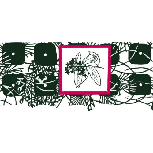 Sketch Other Sketch Other