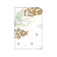 Sketch Other Sketch Other