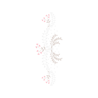 Sketch Other Sketch Other