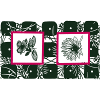 Sketch Other Sketch Other