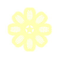 Snap Election Other Snap Election Other