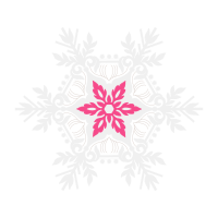 Snow Other Snow Other