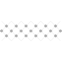 Snowflake Other Snowflake Other