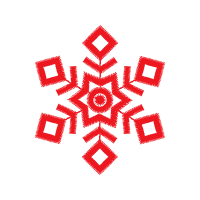 Snowflake Other Snowflake Other