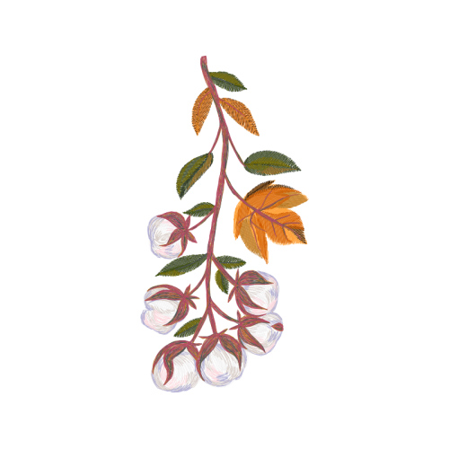 Sourwood Other Sourwood Other