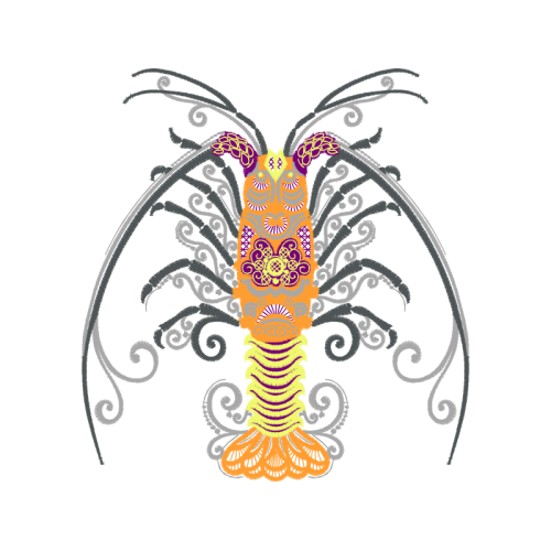 Spiny Lobster Other Spiny Lobster Other