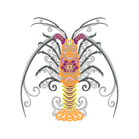 Spiny Lobster Other Spiny Lobster Other