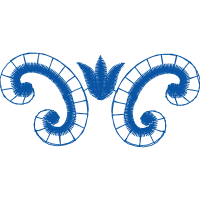 Spiral Other Spiral Other