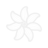 Steam Engine Other Steam Engine Other