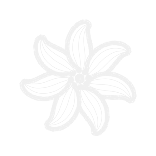 Steam Engine Other Steam Engine Other