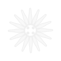 Stock Photography Other Stock Photography Other