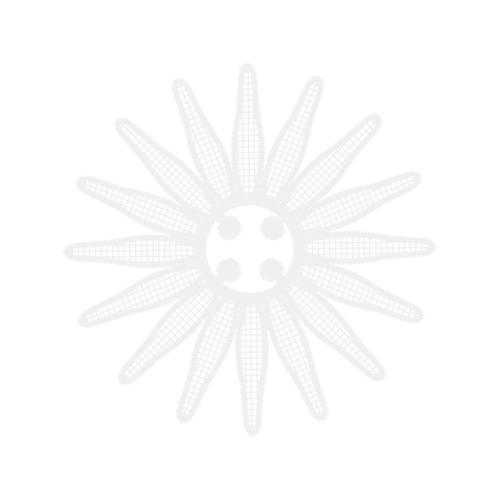 Stock Photography Other Stock Photography Other