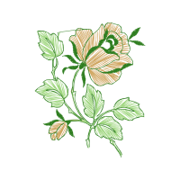 Strawberry Other Strawberry Other