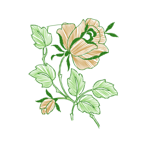 Strawberry Other Strawberry Other