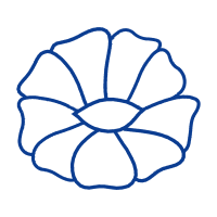 Support Group Other Support Group Other