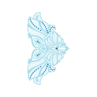 Swallowtail Butterfly Other Swallowtail Butterfly Other