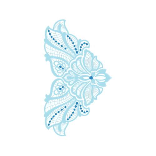 Swallowtail Butterfly Other Swallowtail Butterfly Other